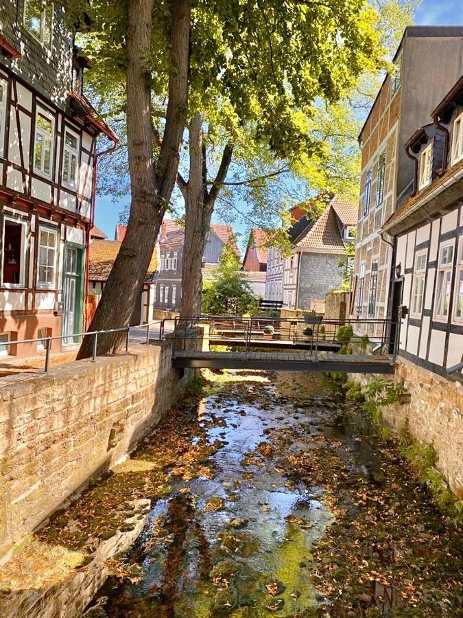 Ferienhaus Zur Abzuchtinsel Гослар Екстер'єр фото